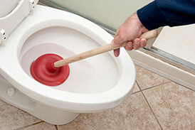 boal, chulla vista toilet clog