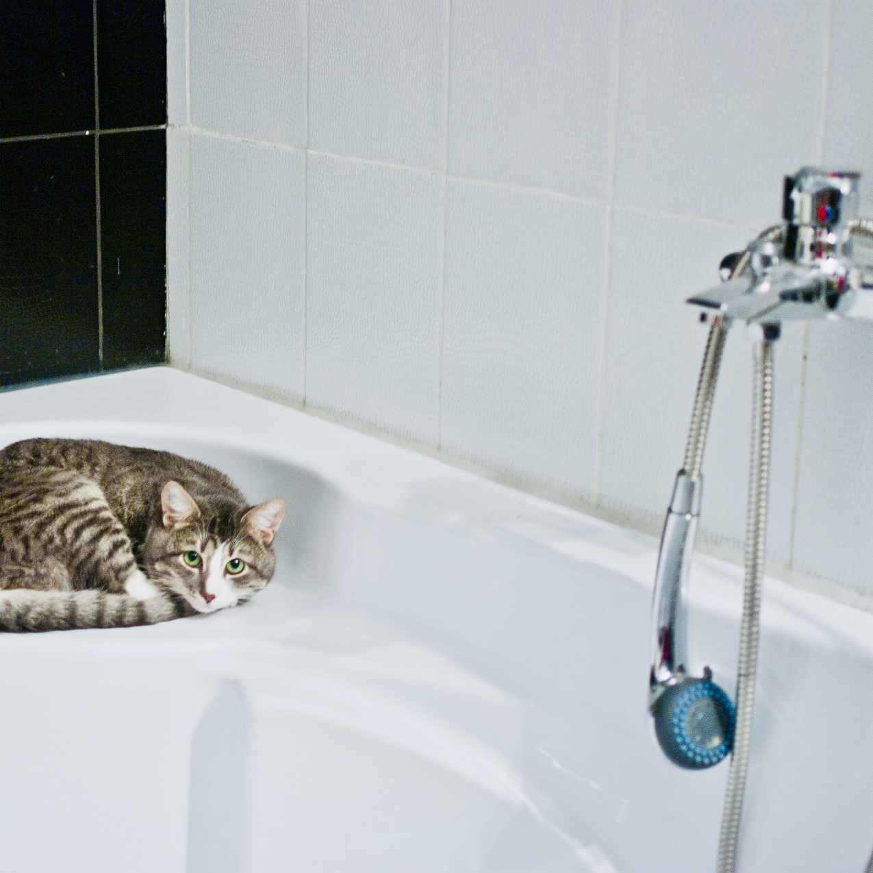 Fontana Plumber