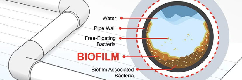 What is biofilm?