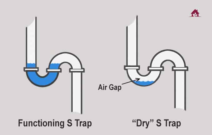Dry P Trap