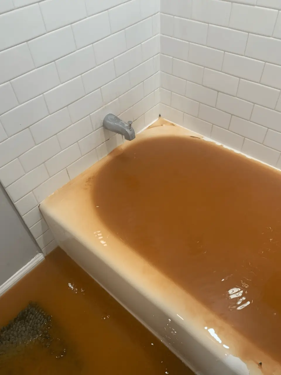Sewer-backup-2