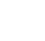 optionone