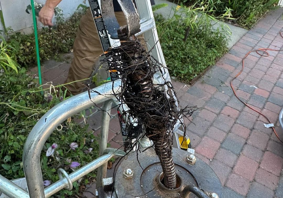 Drain Cleaning 1